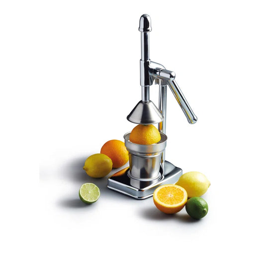 Fruit Juicer Compressing Handle