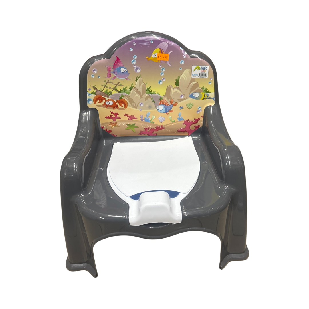 Baby potty seat
